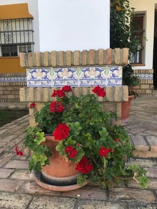 El Magnolio Villa Chiclana de la Frontera Semesterbostad